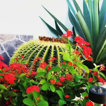 Sunny Ferienhaus Costa Adeje (Tenerife)
